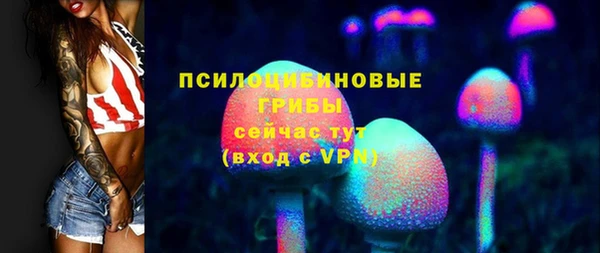 индика Белоозёрский