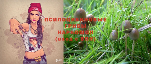 индика Белоозёрский