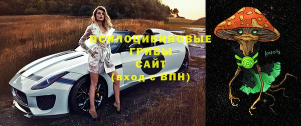 прущий лед Белокуриха