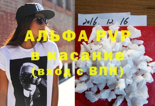 индика Белоозёрский