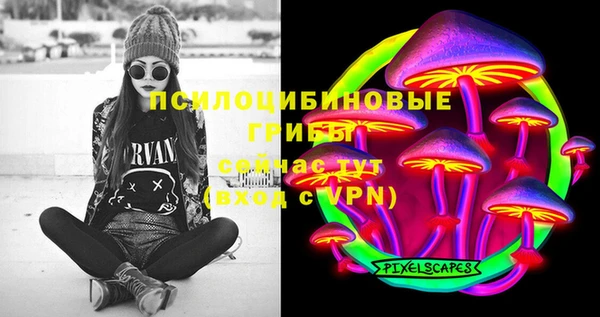 индика Белоозёрский