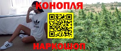 гашиш Моздок