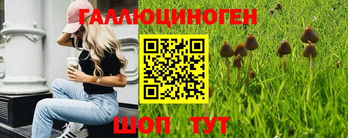 Галлюциногенные грибы Cubensis Вязники