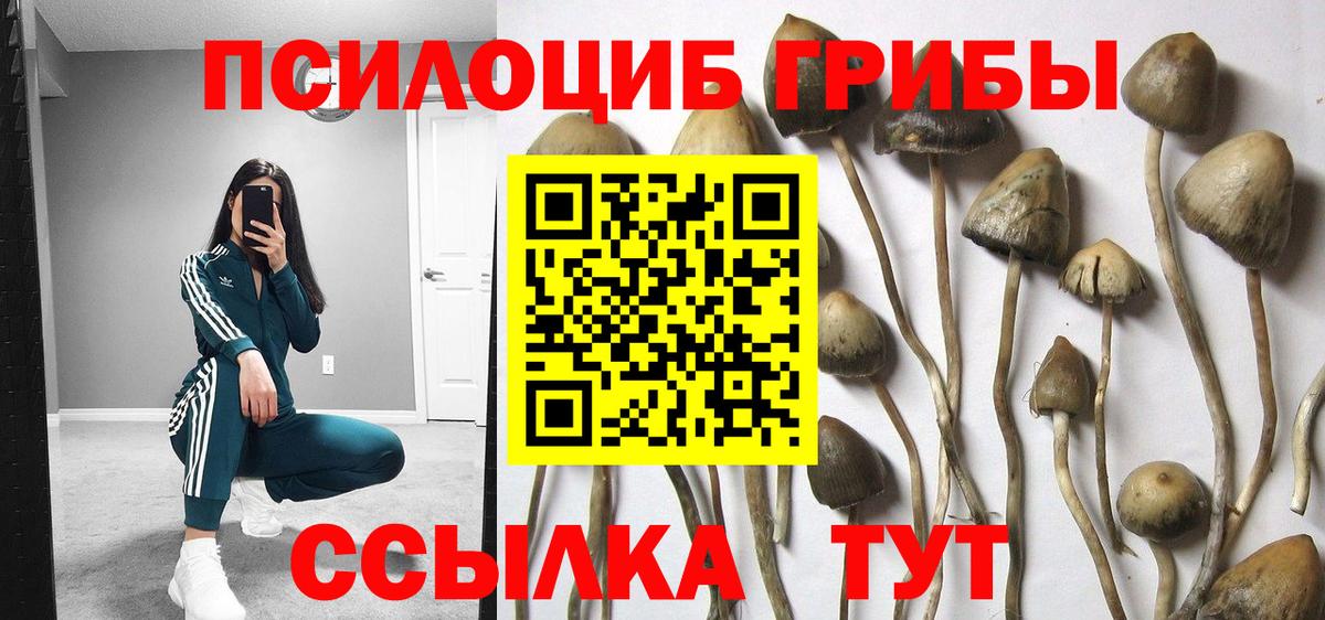 ГАШИШ  Cocaine  Вязники  Вход с VPN  Марихуана  Меф   Экстази 