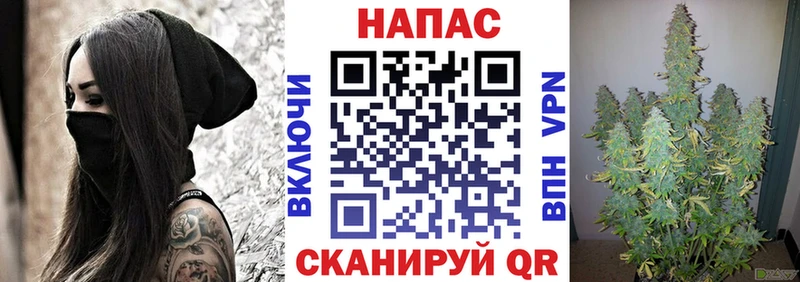 как найти закладки Вязники Бошки Шишки конопля